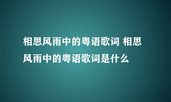 相思风雨中的粤语歌词 相思风雨中的粤语歌词是什么
