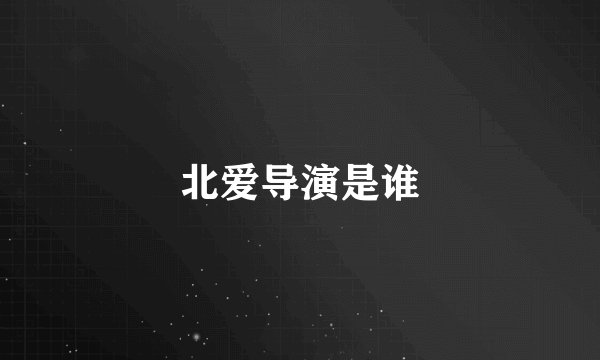 北爱导演是谁