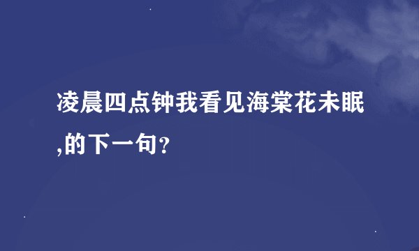 凌晨四点钟我看见海棠花未眠,的下一句？