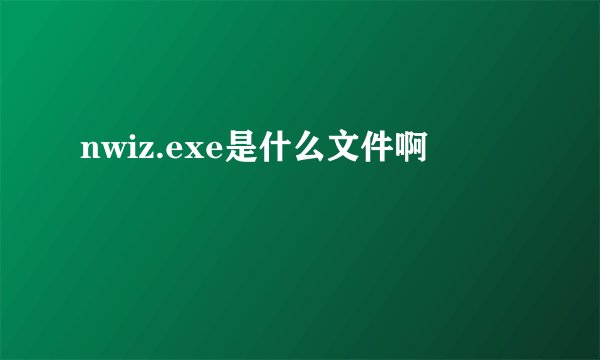 nwiz.exe是什么文件啊