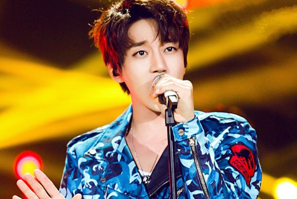 我的梦为你停留 歌词