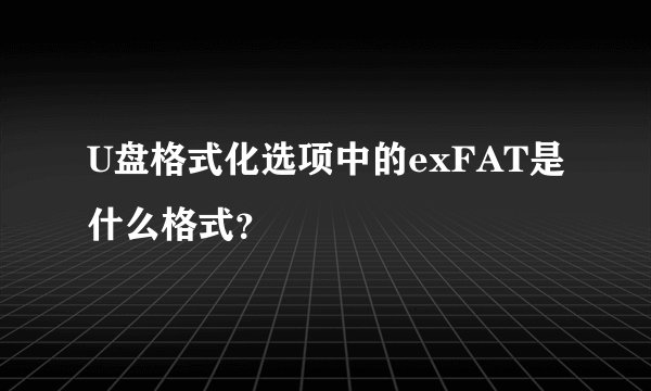 U盘格式化选项中的exFAT是什么格式？