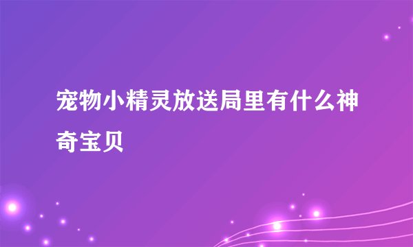宠物小精灵放送局里有什么神奇宝贝
