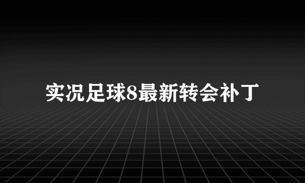 实况足球8最新转会补丁