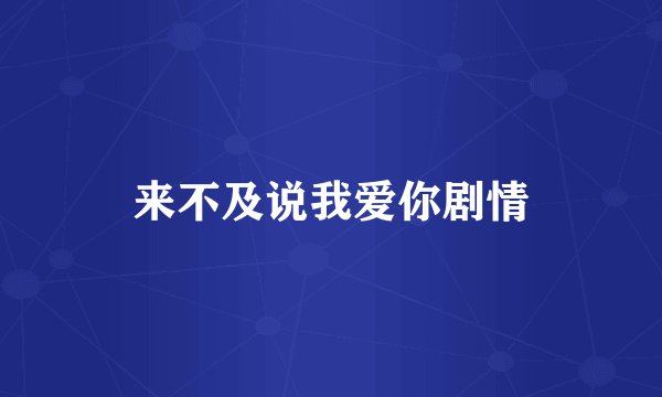 来不及说我爱你剧情