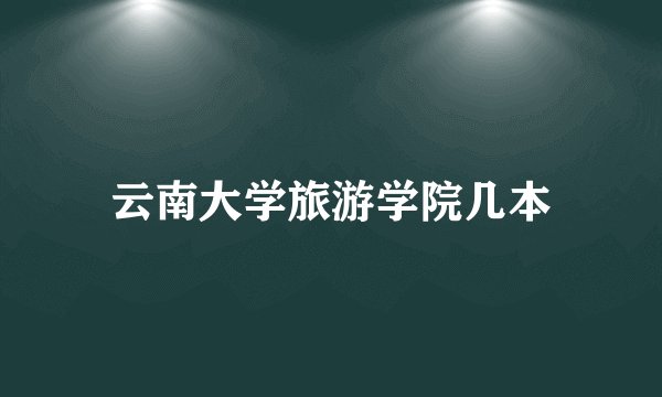 云南大学旅游学院几本