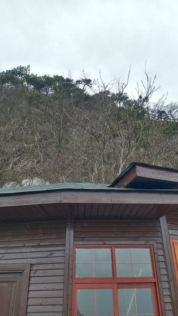 你是怎么度过假期最后两天的？