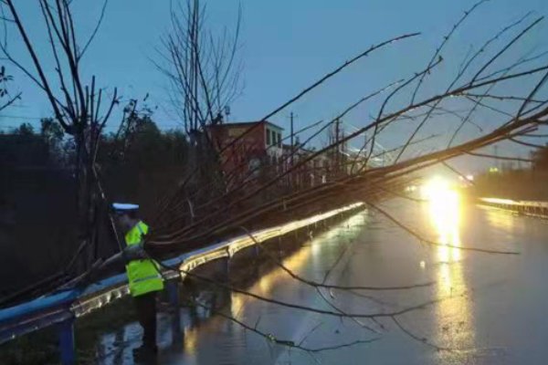 狂风暴雨还是狂风骤雨