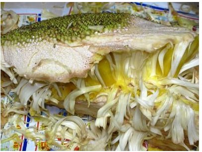 菠萝蜜通道入口在哪里