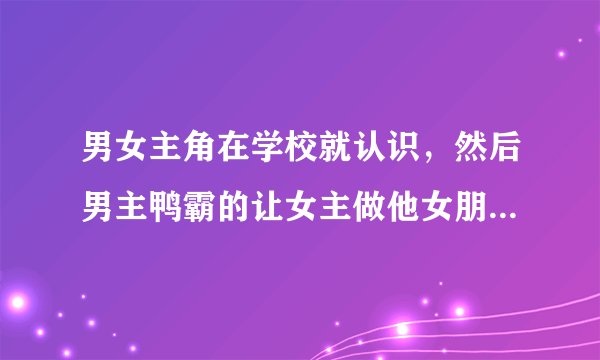 男女主角在学校就认识，然后男主鸭霸的让女主做他女朋友，后来男主出国了，让女主角一定要等他回来。
