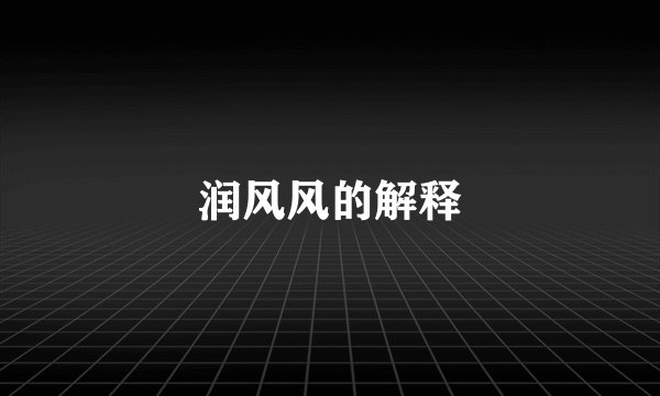 润风风的解释