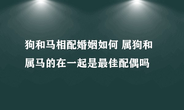 狗和马相配婚姻如何 属狗和属马的在一起是最佳配偶吗