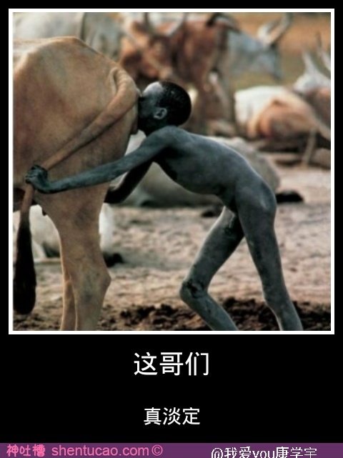 淡定哥的简介