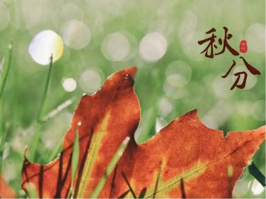 秋分是几月几日