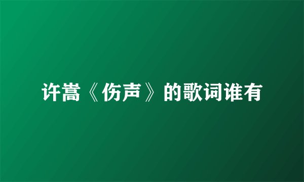 许嵩《伤声》的歌词谁有