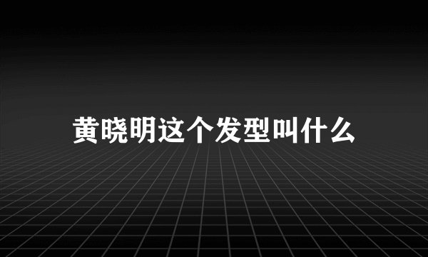 黄晓明这个发型叫什么