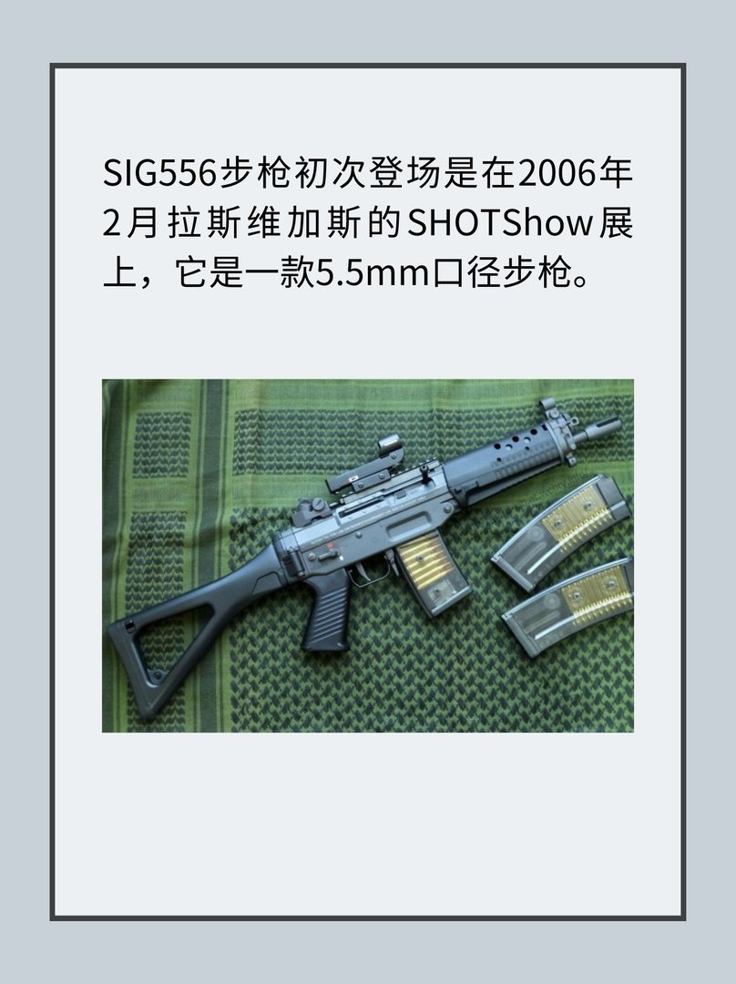 SIG 556突击步枪