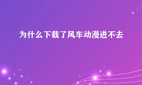 为什么下载了风车动漫进不去