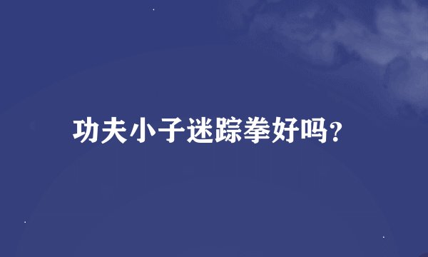 功夫小子迷踪拳好吗？