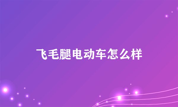 飞毛腿电动车怎么样