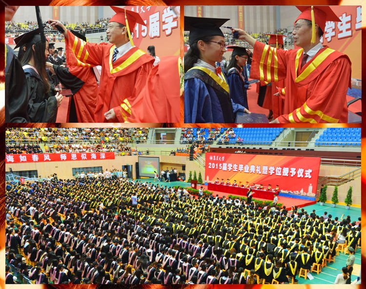 苏文金的个人经历