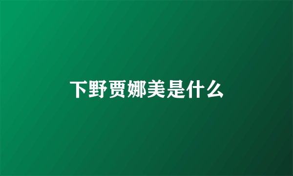 下野贾娜美是什么