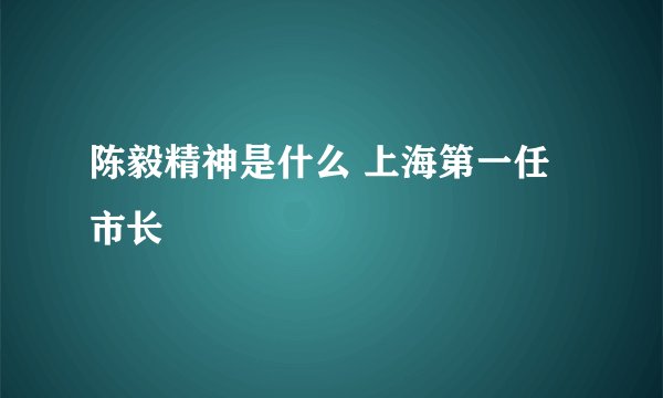 陈毅精神是什么 上海第一任市长