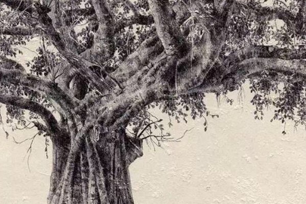 最难画的大树怎么画