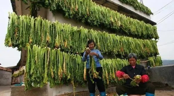 土坑酸菜后遗症出现了，波及13万人，他们赖以生存的生计该如何走上正轨？