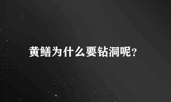 黄鳝为什么要钻洞呢？