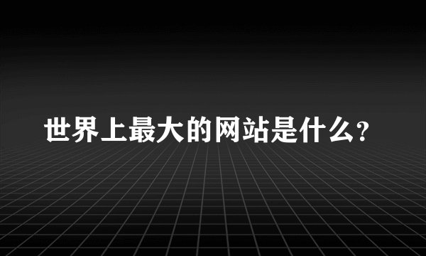 世界上最大的网站是什么？