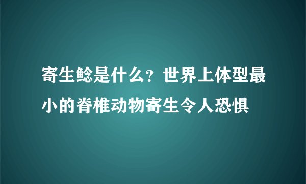 寄生鲶是什么？世界上体型最小的脊椎动物寄生令人恐惧