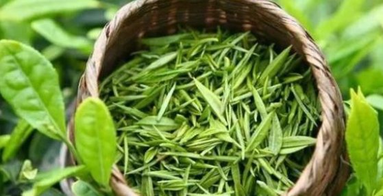 绿茶包括哪些茶叶品种?