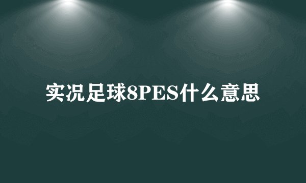 实况足球8PES什么意思