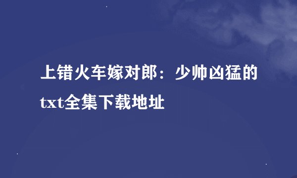 上错火车嫁对郎：少帅凶猛的txt全集下载地址