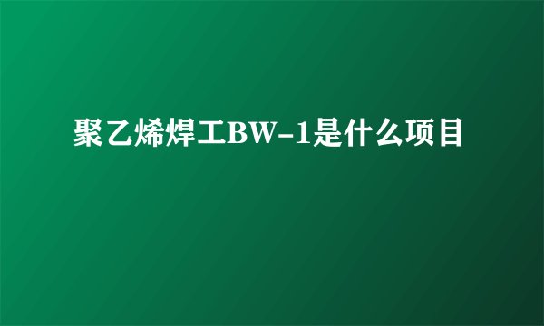 聚乙烯焊工BW-1是什么项目