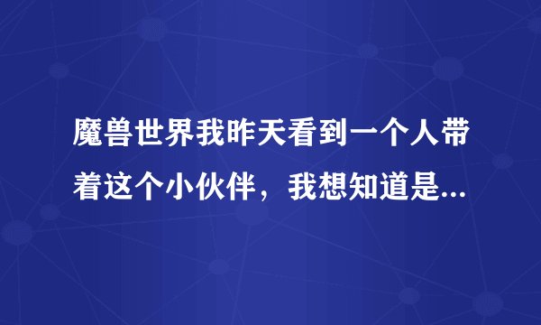 魔兽世界我昨天看到一个人带着这个小伙伴，我想知道是什么，怎么获得，买要多少钱