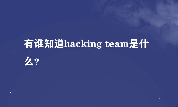 有谁知道hacking team是什么？