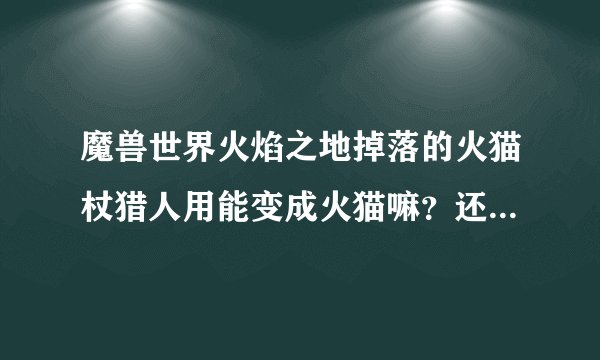 魔兽世界火焰之地掉落的火猫杖猎人用能变成火猫嘛？还是只有小德才能用