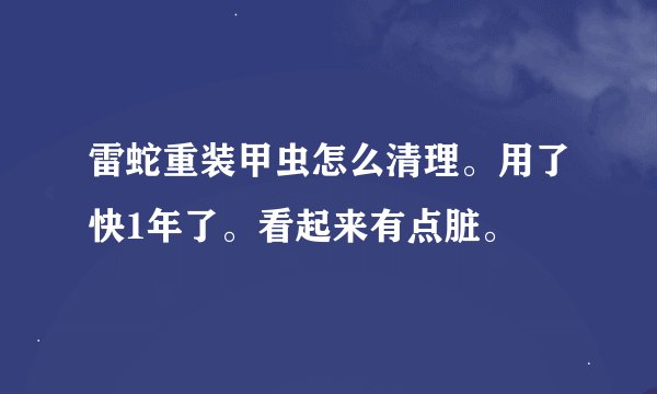 雷蛇重装甲虫怎么清理。用了快1年了。看起来有点脏。