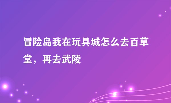 冒险岛我在玩具城怎么去百草堂，再去武陵