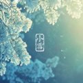 二十四节气分别是什么？