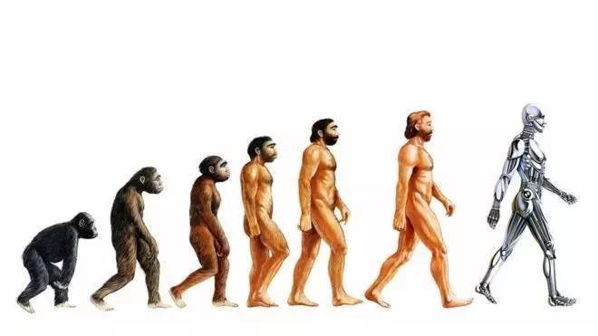 中国学者发现5亿多年前四不像动物，四不像动物长啥样呢？