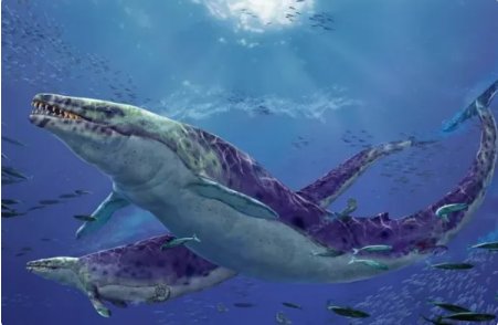 十大深海巨兽都是什么？