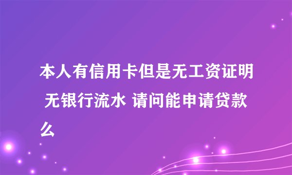 本人有信用卡但是无工资证明 无银行流水 请问能申请贷款么