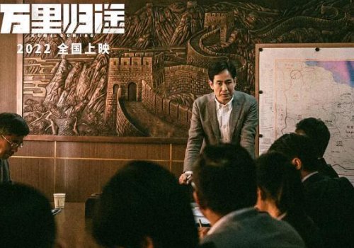 《万里归途》真实事件原型，利比亚撤侨撤了多少人，是哪一年？