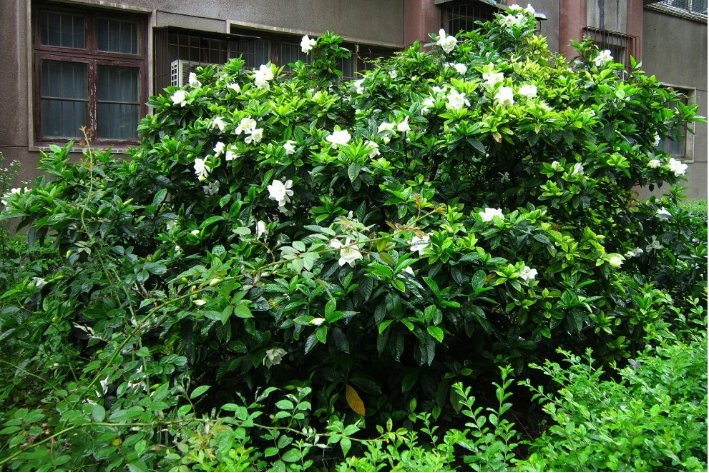 屋檐的檐怎么组词?