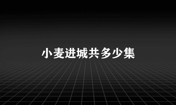 小麦进城共多少集