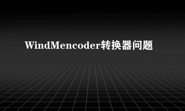 WindMencoder转换器问题