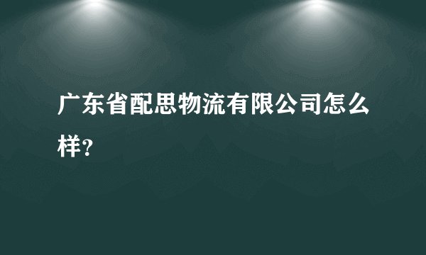 广东省配思物流有限公司怎么样？
